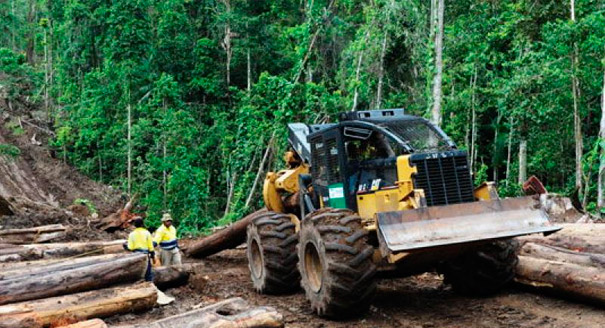 APEC Forestry Ministers Call for Sustainable Socio-Economic Development