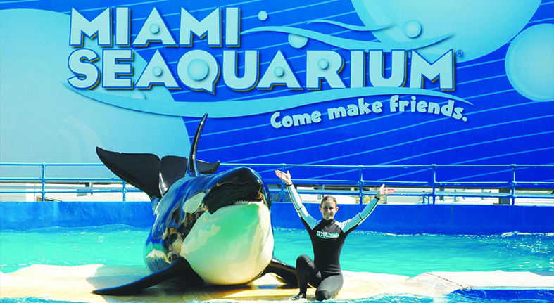 Miami Seaquarium Educational Programs In February 2017