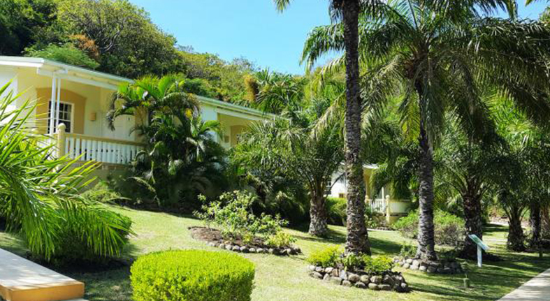 Blue Horizons Garden Resort, Grenada achieves Gold Membership in environmental stewardship