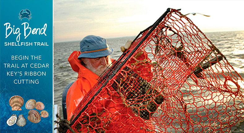 Big Bend Shellfish Trail Official Opening