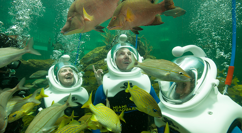 Miami Seaquarium to Re-Open on Friday, October 13 – Park to Host a Preview Day for Media on October 12