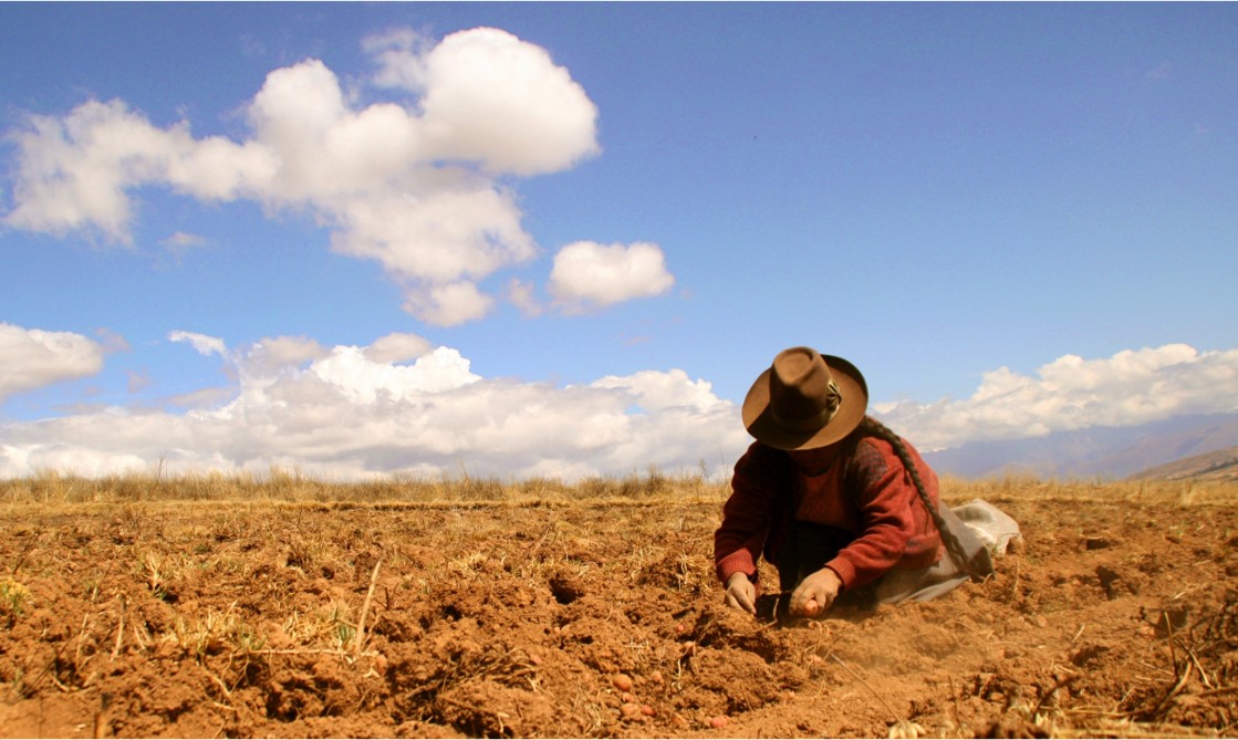 Extending digital innovation to smallholders in Latin America