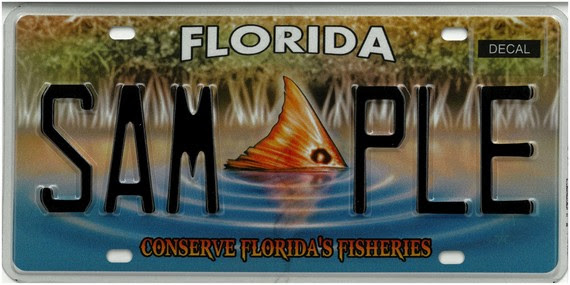 FLHSMV announces new Florida Specialty license plate