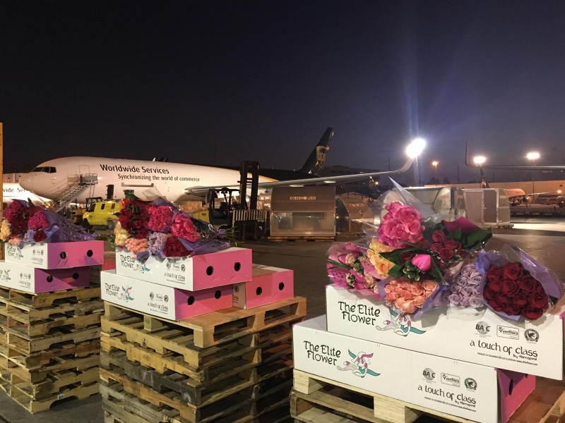 Plays Miami International Airport Cupid as America’s busiest flower gateway