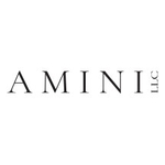 Amini LLC Recovers Full Satisfaction of  Million Judgment Against Lynn Tilton