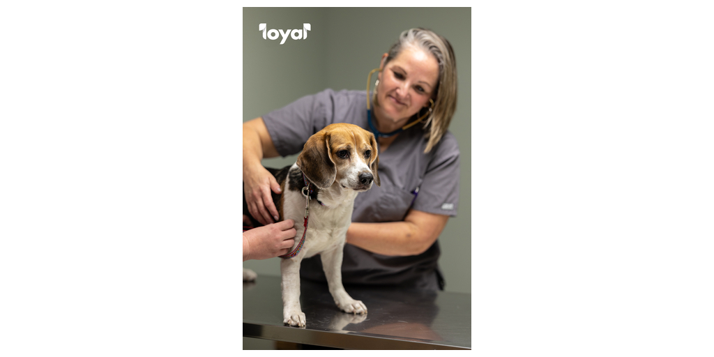 Loyal Announces  Million Series B Financing to Continue Development of First FDA-Approved Dog Lifespan Extension Drug for Veterinary Use