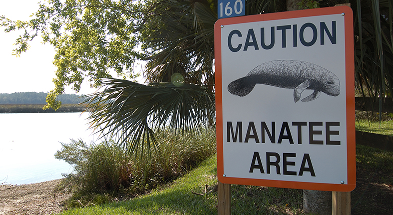 FWC approves changes to Collier County manatee zones