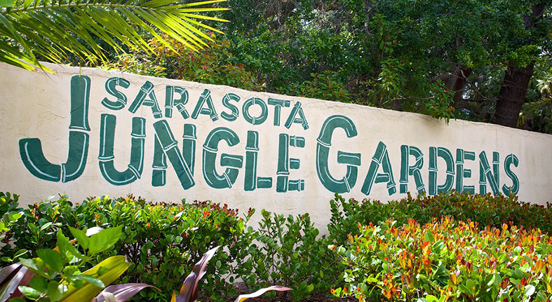 Sarasota Jungle Gardens Reopens with Super Saturday Deals 50% off Admission!