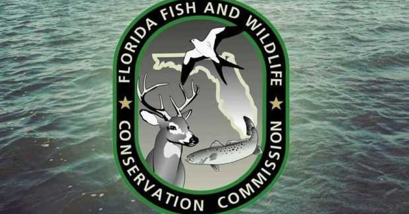 FWC virtual meeting Feb. 25-26 open to the public