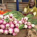 Sunnova and Seeding Mercy Inc. Collaborate to Fund Off-Grid Solar Powered Irrigation Pumps, Combating Hunger and Empowering Communities in East Africa