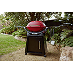 Weber Introduces the All-New Weber® Q™, Bringing Modern Versatility and Ease to Create an Unforgettable Cooking Experience