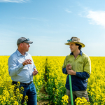 Cargill SustainConnect™ to meet rising demand for sustainable canola & open new revenue streams for Australian canola growers